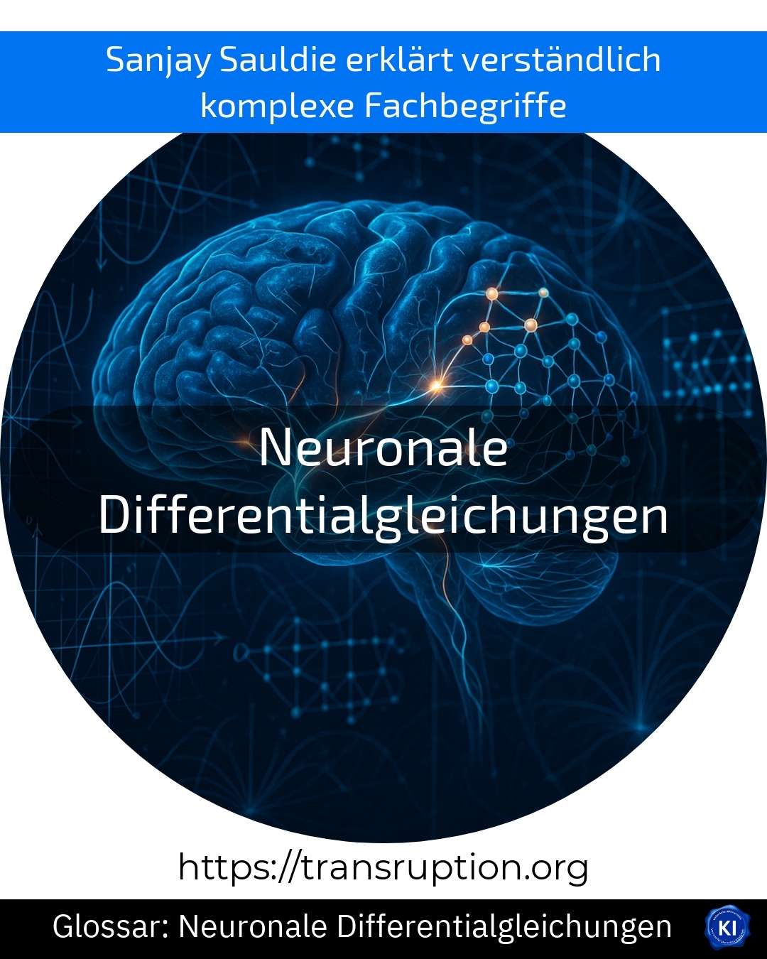 Neuronale Differentialgleichungen (Glossar) 4.3 (1543)