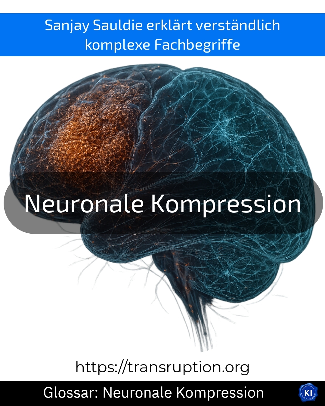 Neuronale Kompression (Glossar) 4.4 (1277)
