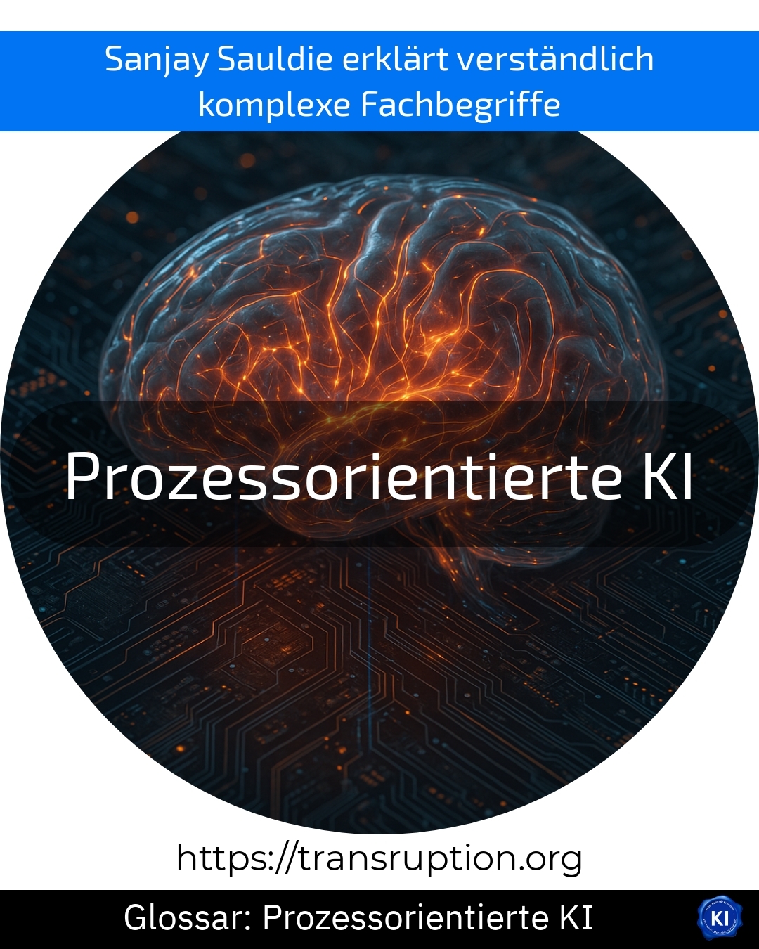 Prozessorientierte KI (Glossar) 4.9 (570)