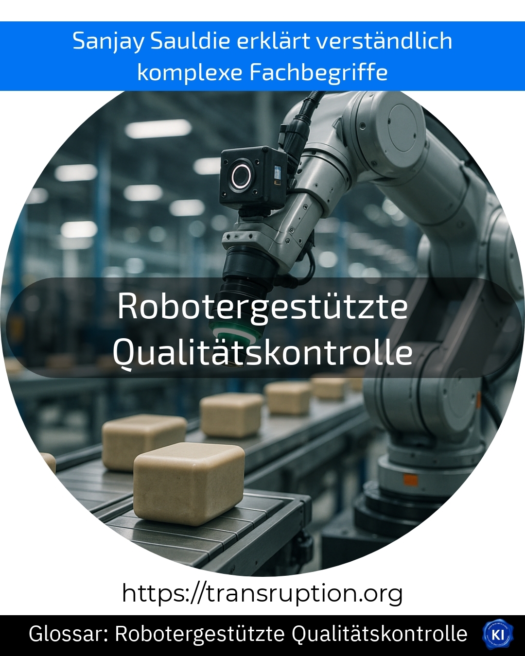 Robotergestützte Qualitätskontrolle (Glossar) 4.1 (1226)