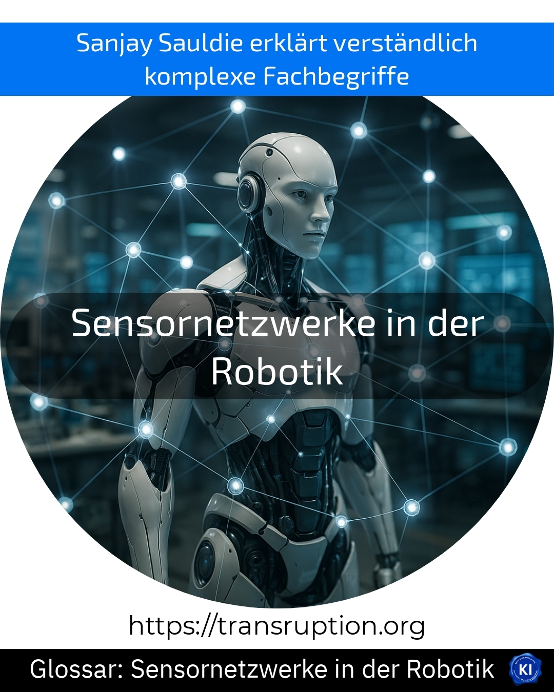 Sensornetzwerke in der Robotik (Glossar) 4.5 (761)