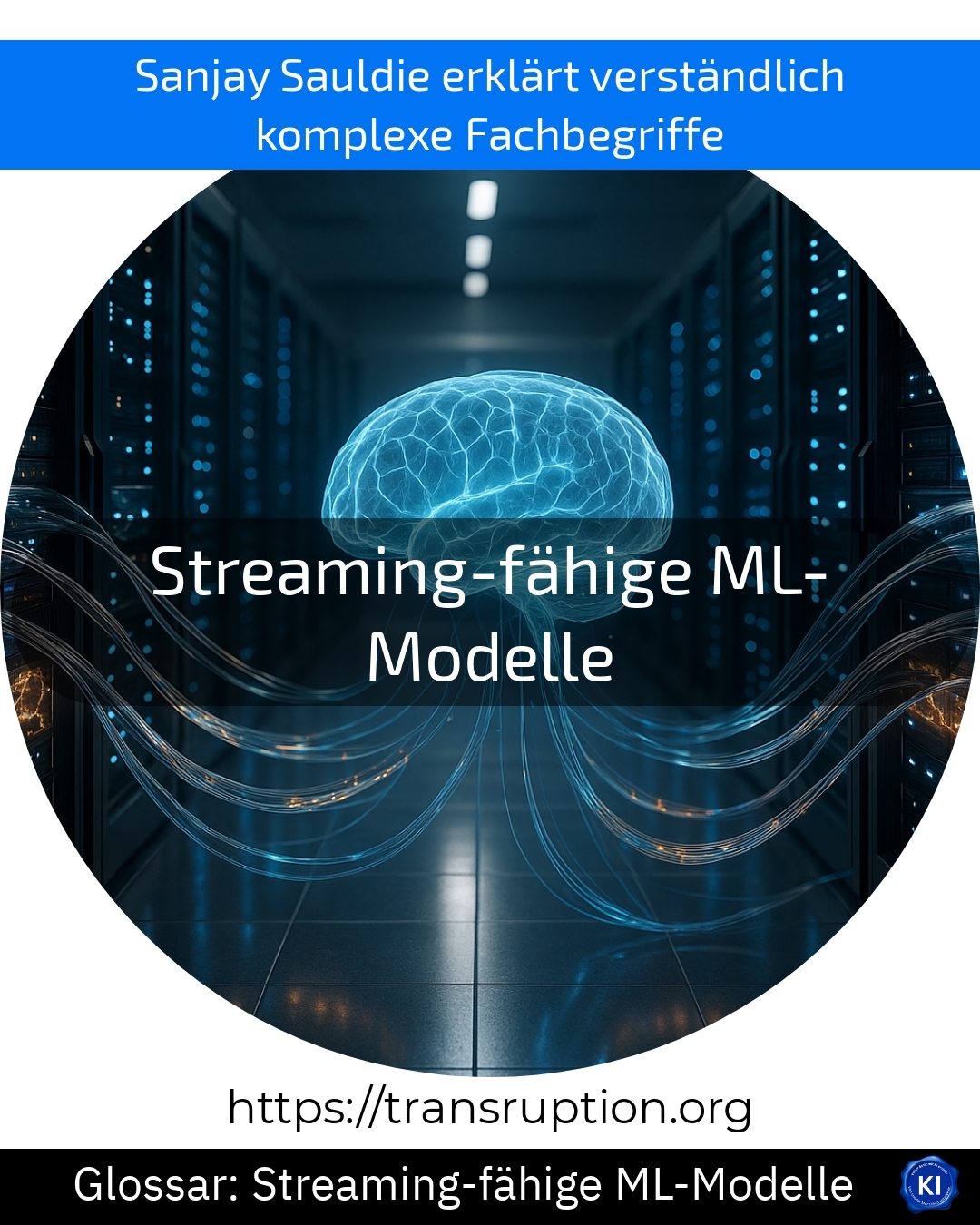 Streaming-fähige ML-Modelle (Glossar) 4.8 (1488)
