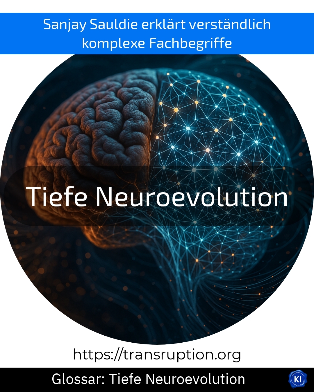 Tiefe Neuroevolution (Glossar) 4.8 (675)