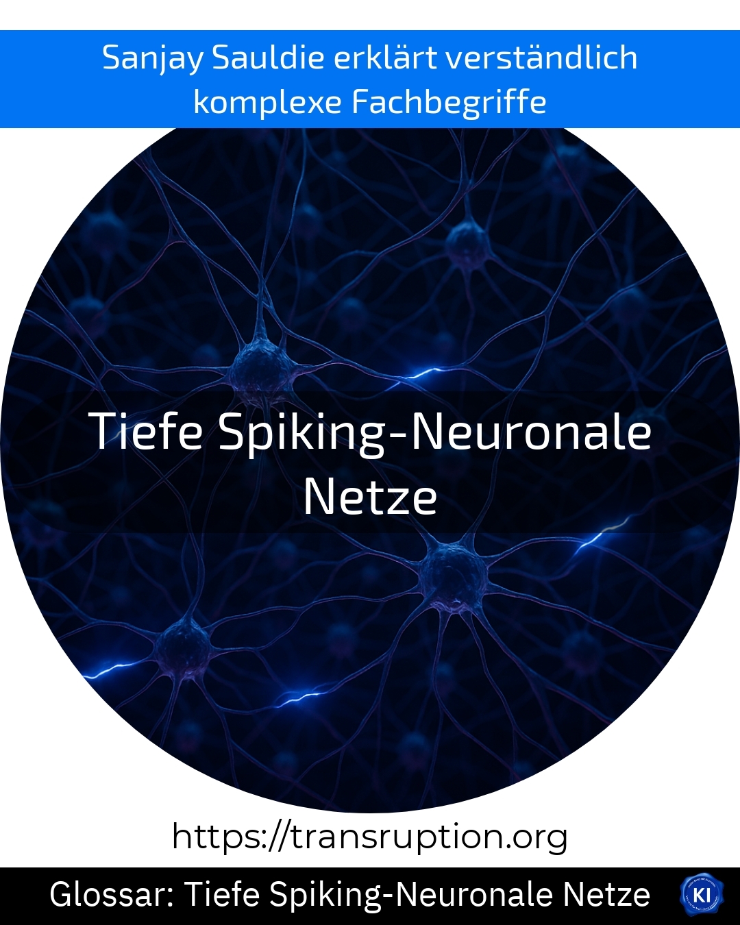 Tiefe Spiking-Neuronale Netze (Glossar) 4.7 (599)
