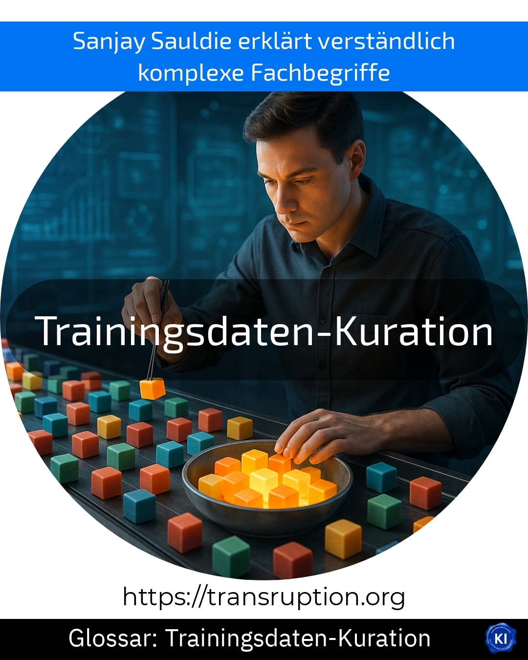 Trainingsdaten-Kuration (Glossar) 4.4 (645)