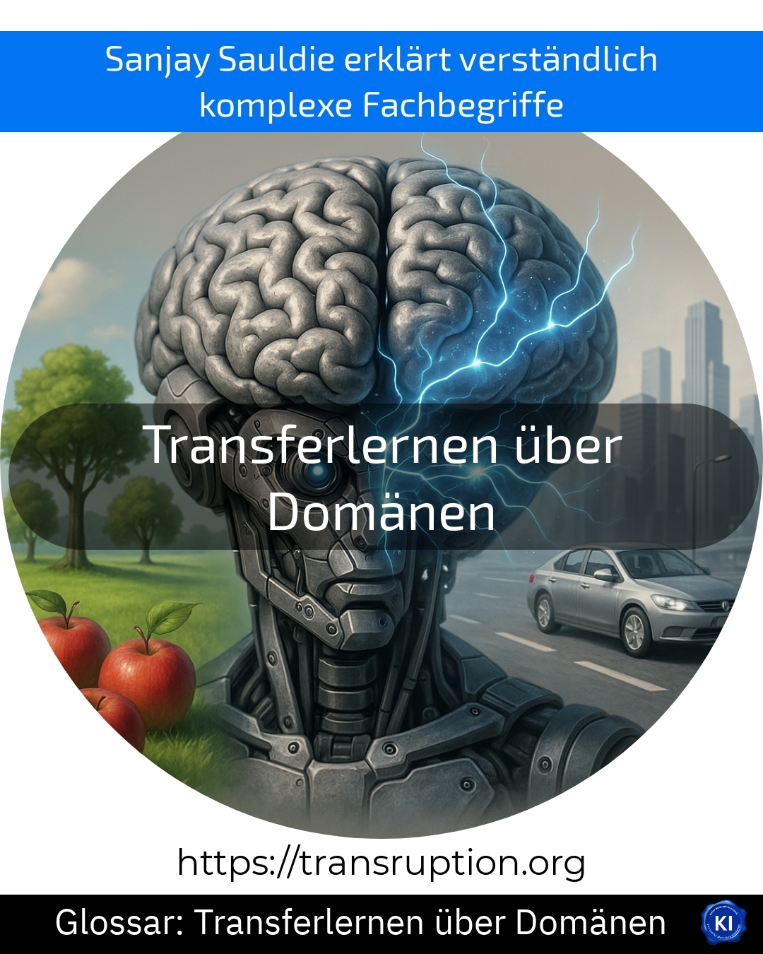 Transferlernen über Domänen (Glossar) 5 (1643)