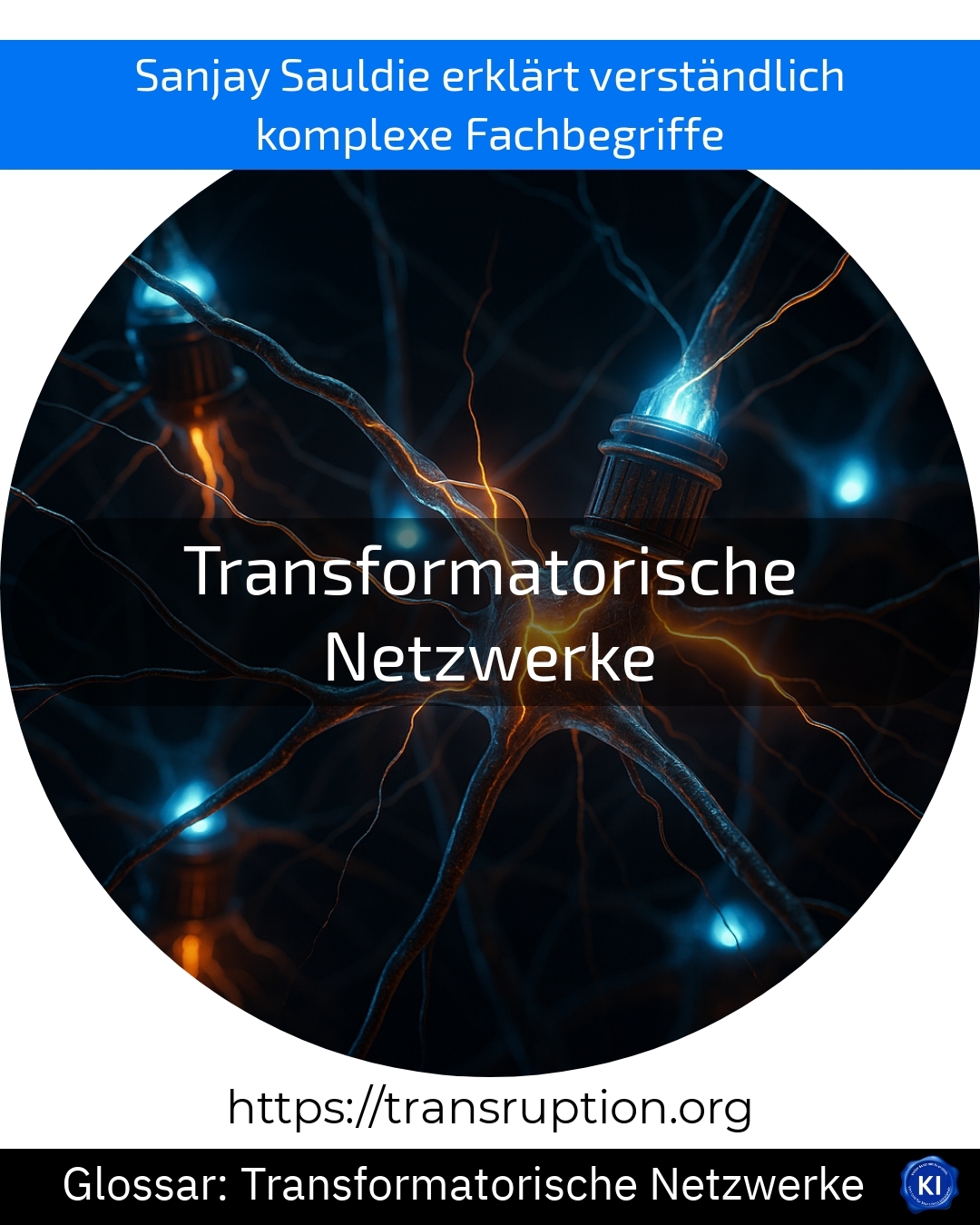 Transformatorische Netzwerke (Glossar) 4.7 (1059)