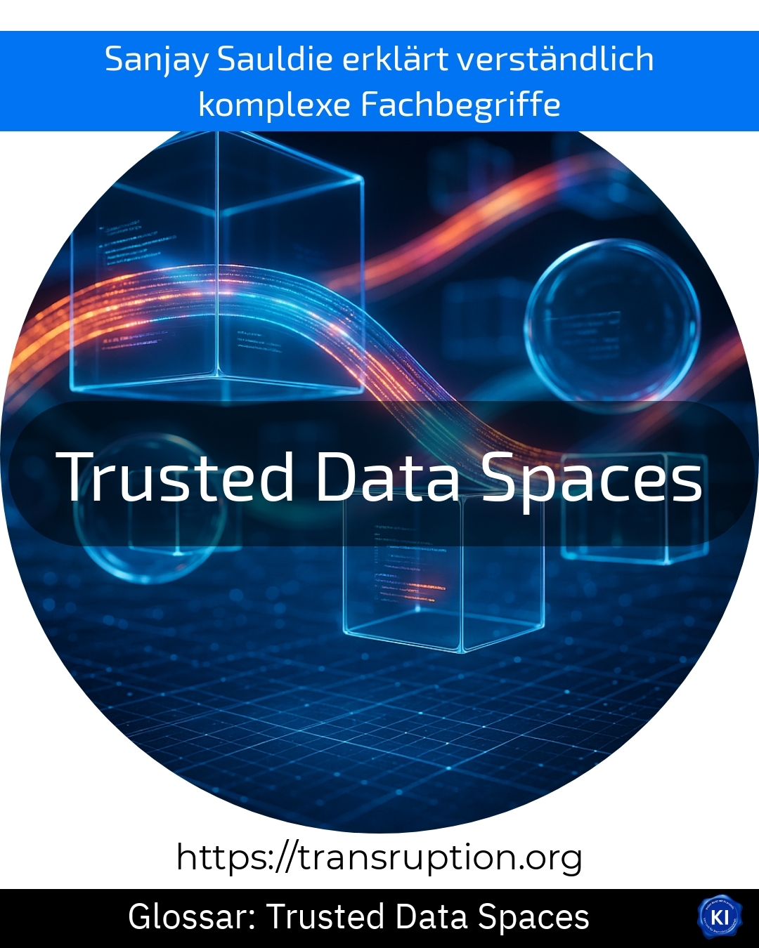 Trusted Data Spaces (Glossar) 4.6 (552)
