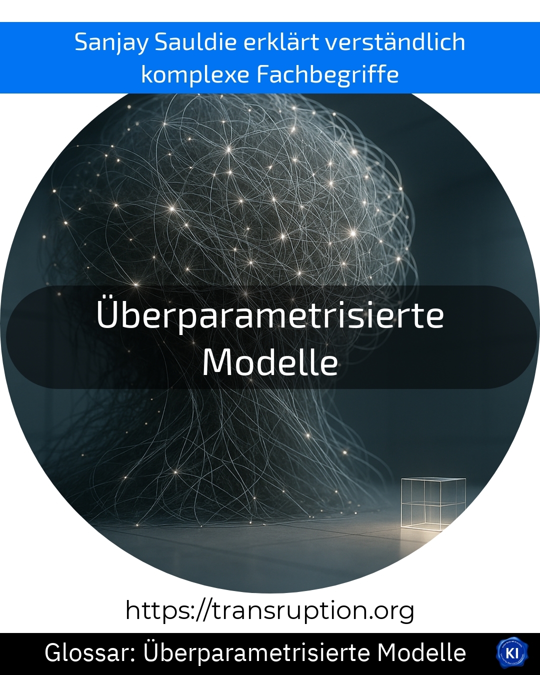 Überparametrisierte Modelle (Glossar) 4.5 (633)
