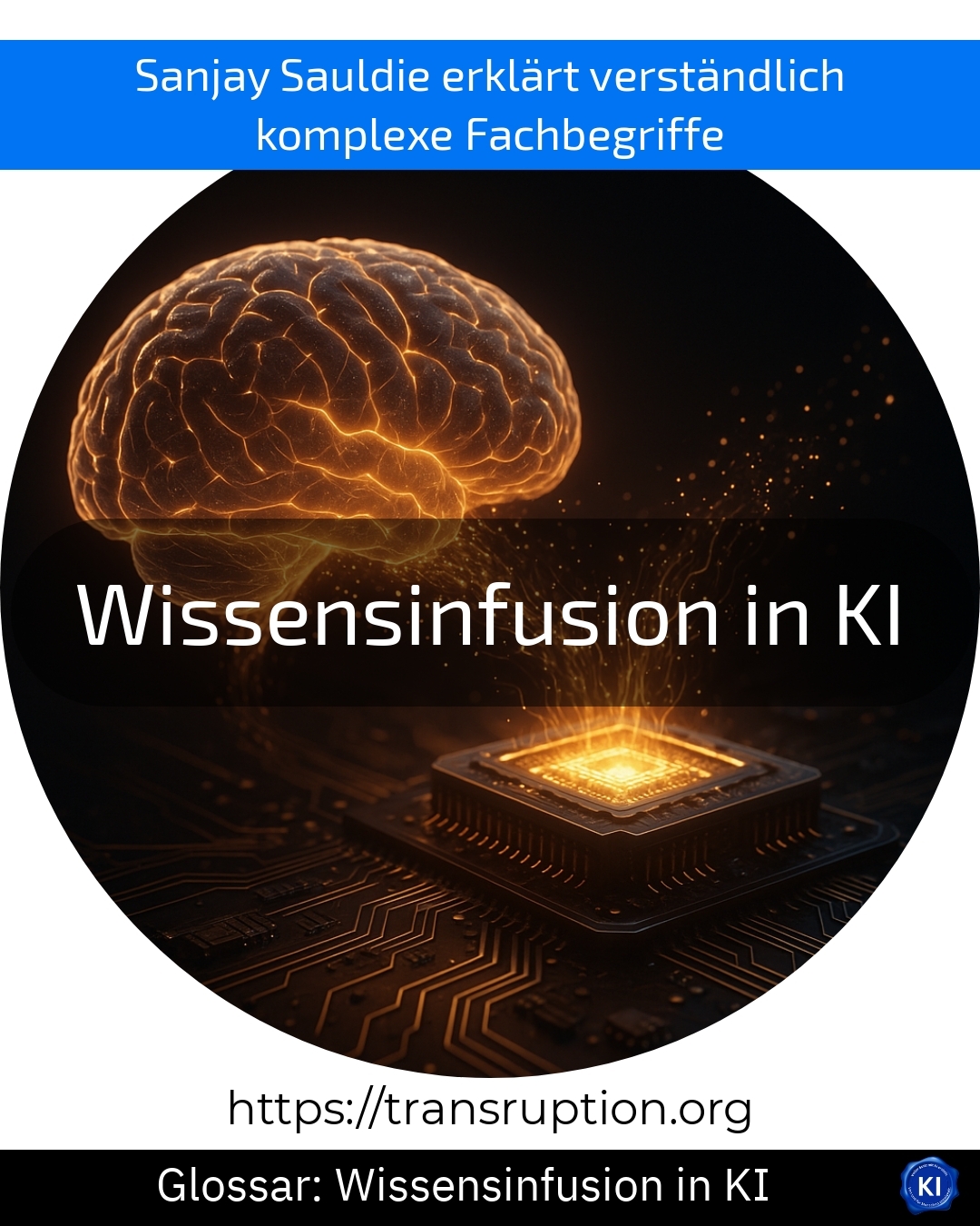 Wissensinfusion in KI (Glossar) 4.7 (854)