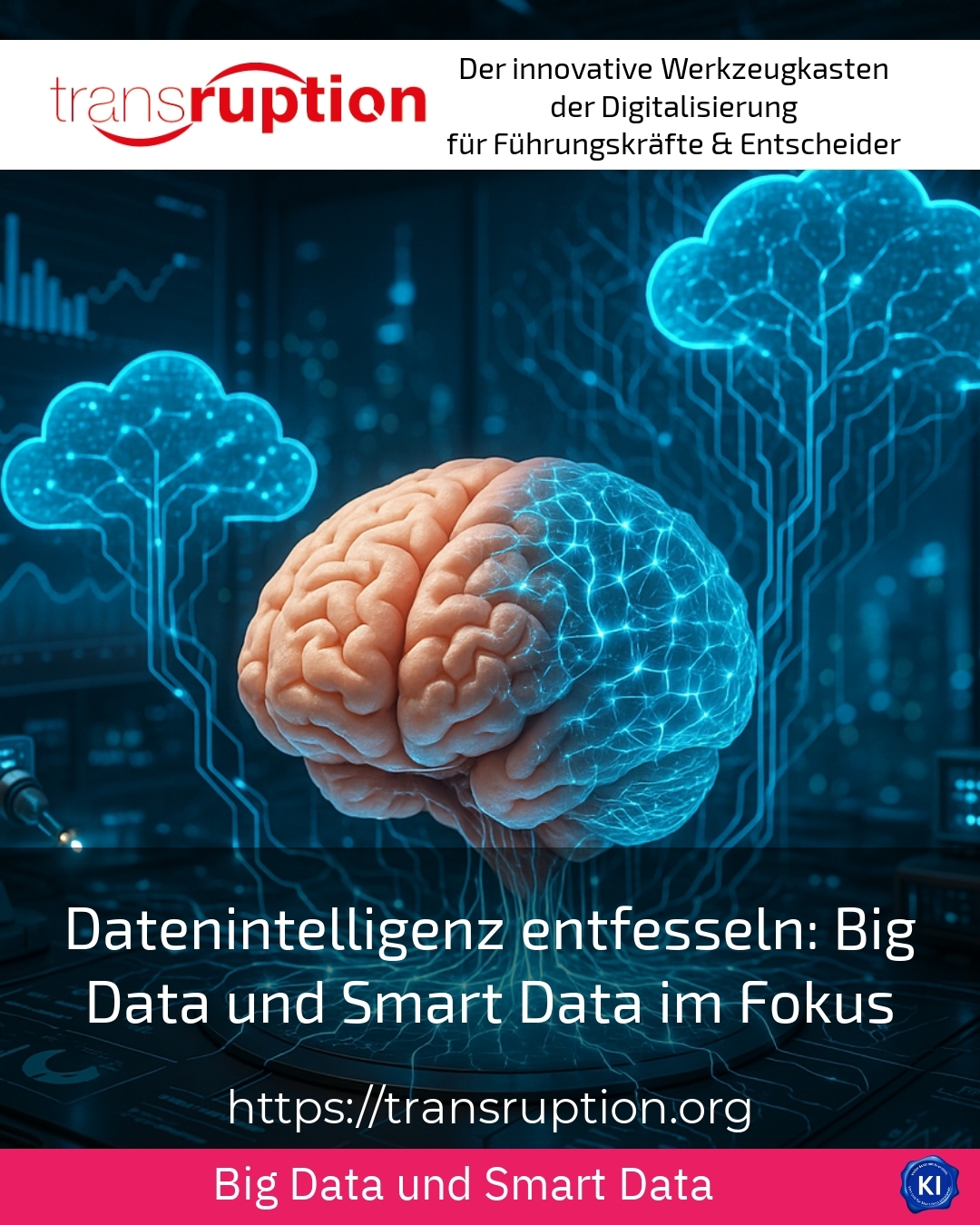 Datenintelligenz entfesseln: Big Data und Smart Data im Fokus 4.3 (776)