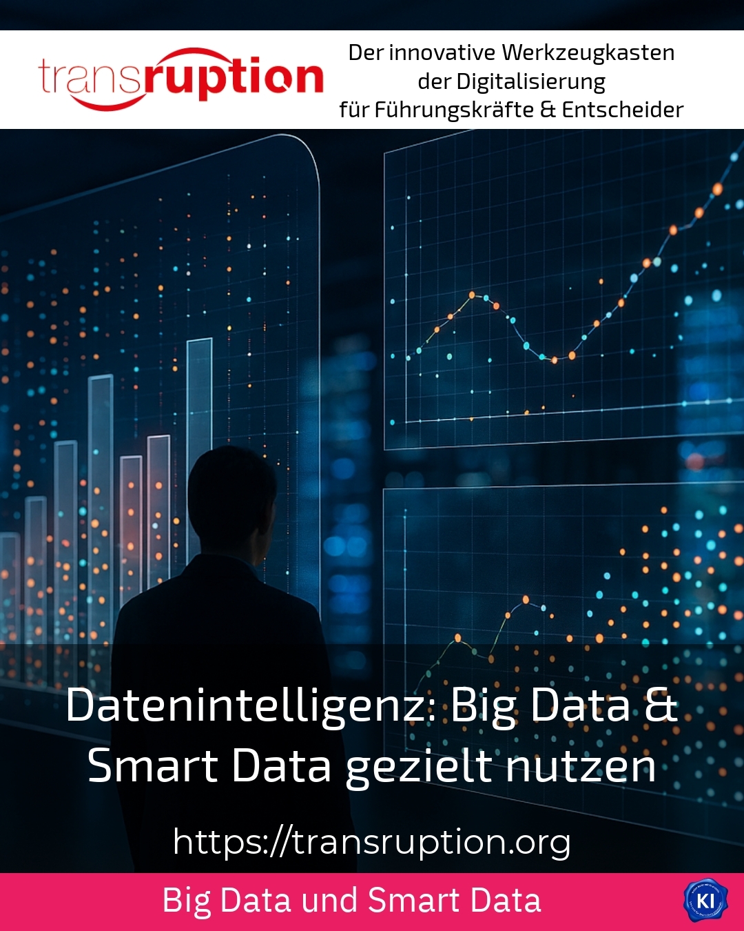Datenintelligenz: Big Data & Smart Data gezielt nutzen 4.8 (1153)