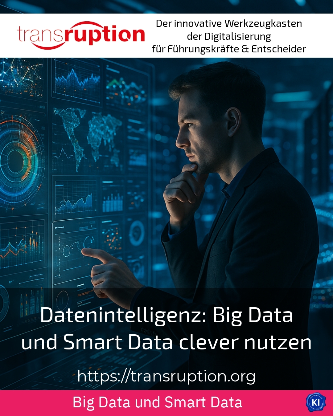 Datenintelligenz: Big Data und Smart Data clever nutzen 4.9 (438)
