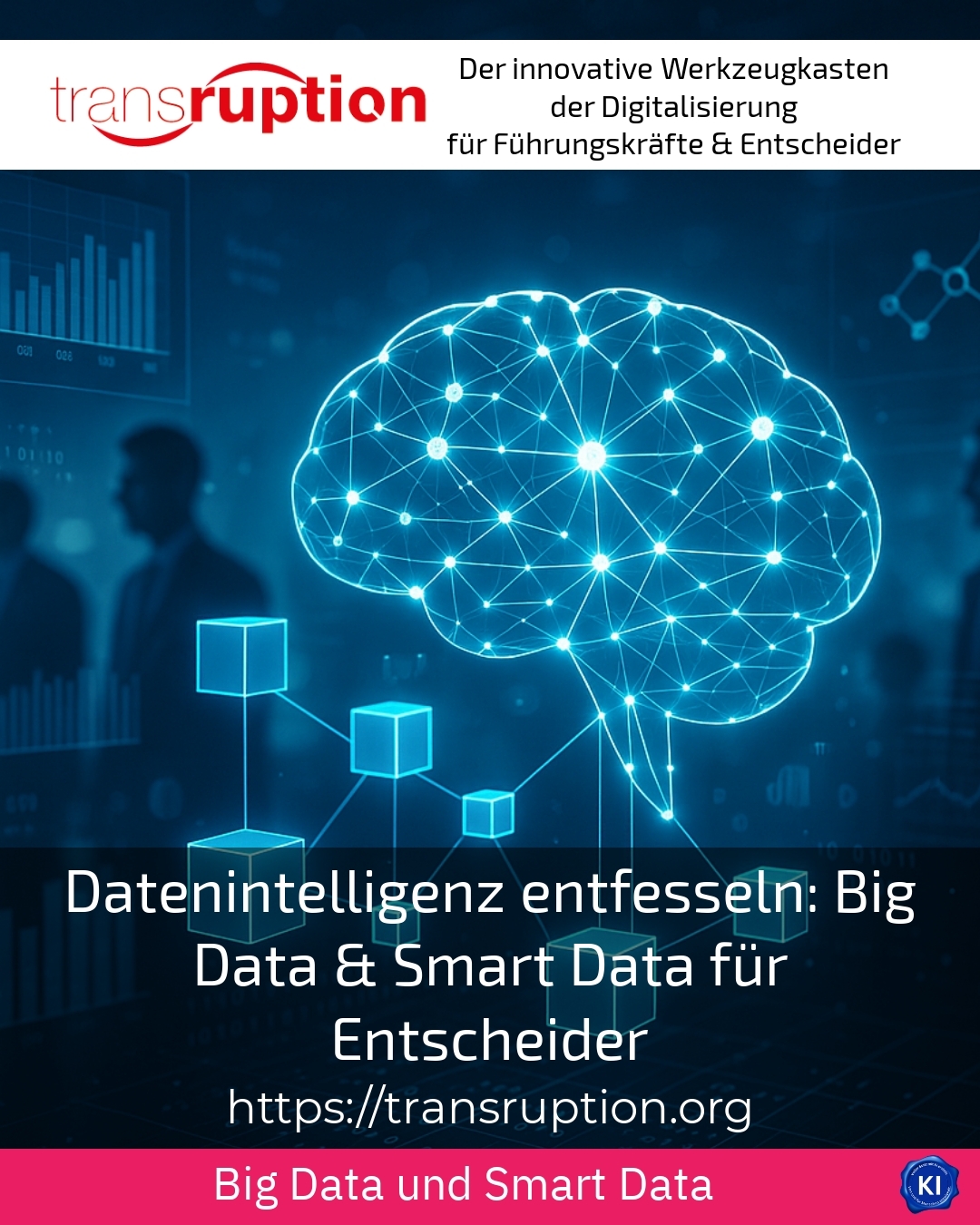 Datenintelligenz entfesseln: Big Data & Smart Data für Entscheider 4.2 (538)
