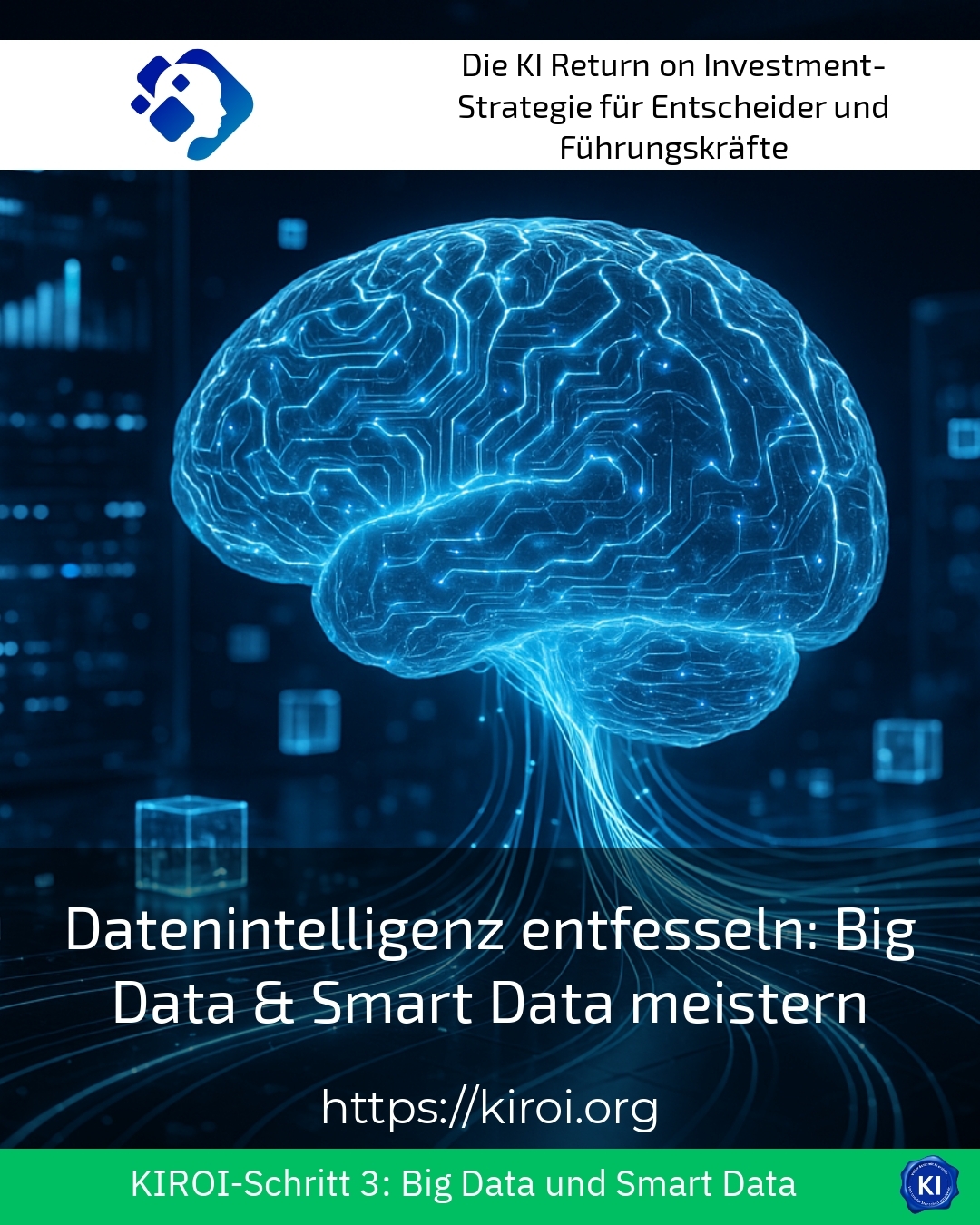 Datenintelligenz entfesseln: Big Data & Smart Data meistern 4.4 (640)