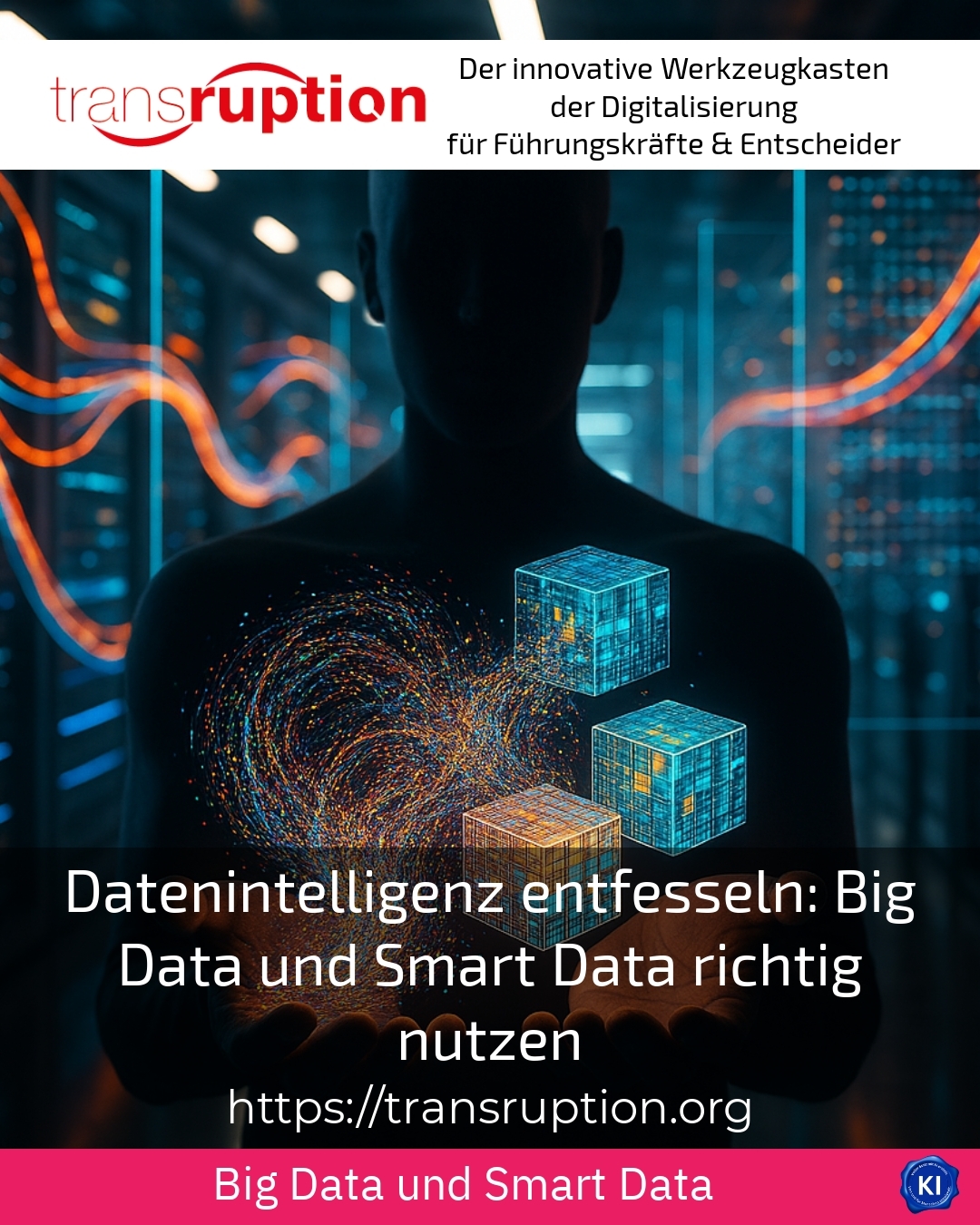 Datenintelligenz entfesseln: Big Data und Smart Data richtig nutzen 4.3 (1512)
