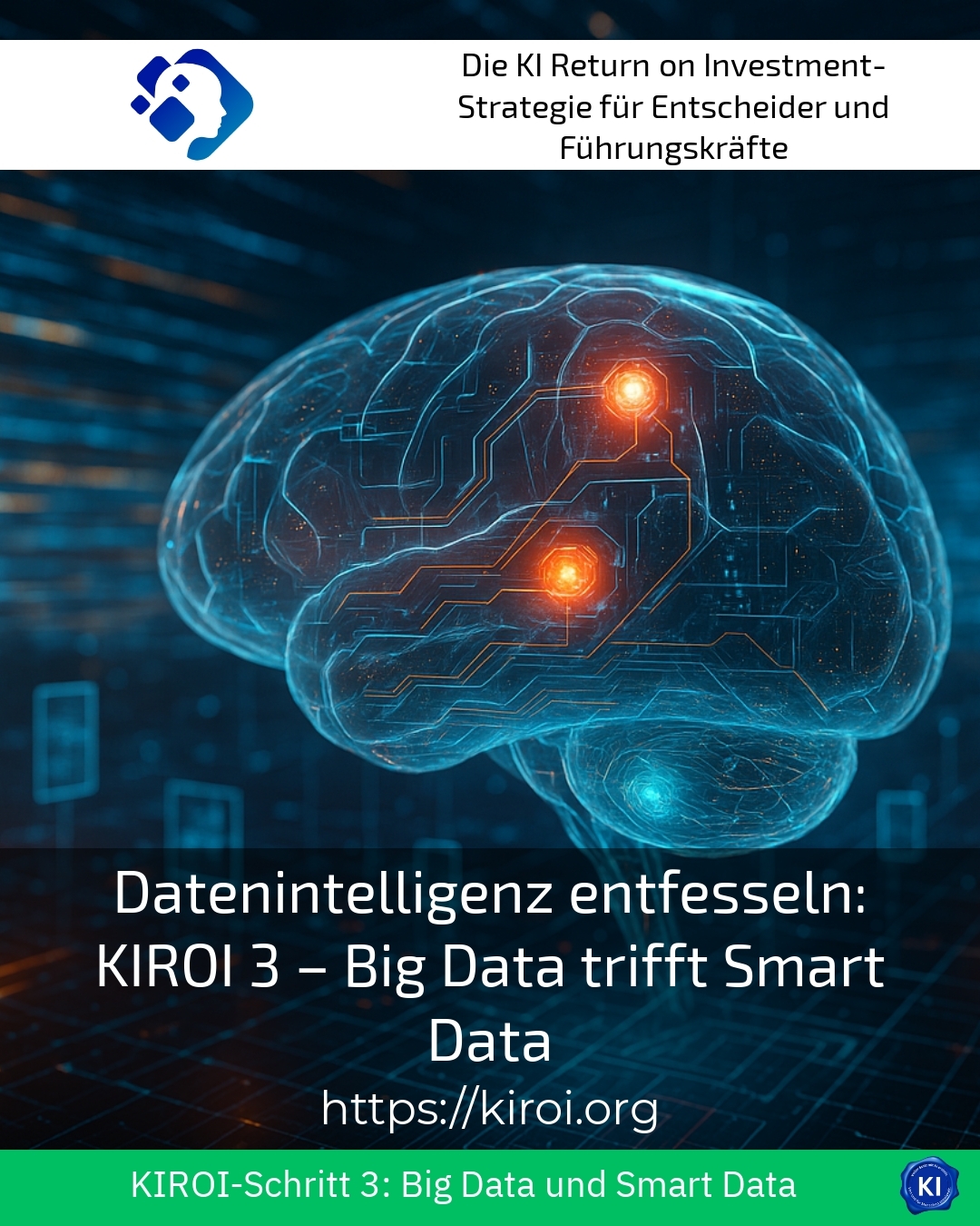 Datenintelligenz entfesseln: KIROI 3 – Big Data trifft Smart Data 4.4 (1161)