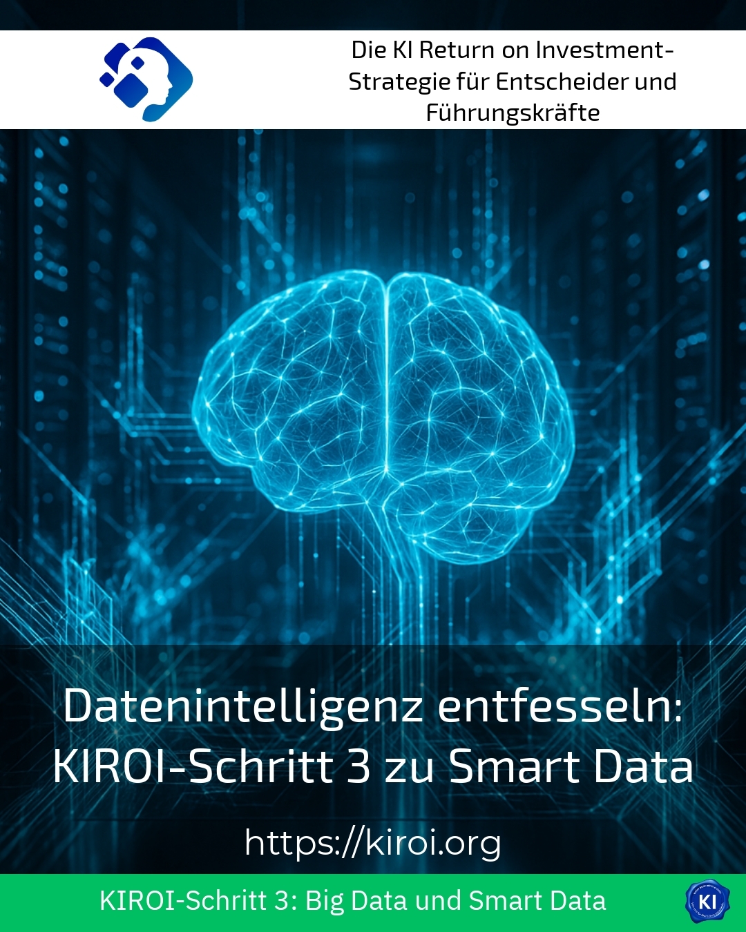 Datenintelligenz entfesseln: KIROI-Schritt 3 zu Smart Data 4.6 (648)