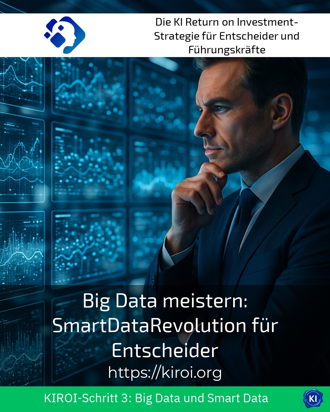 Mastering Big Data: SmartDataRevolution for Decision-Makers 4.6 (1396)