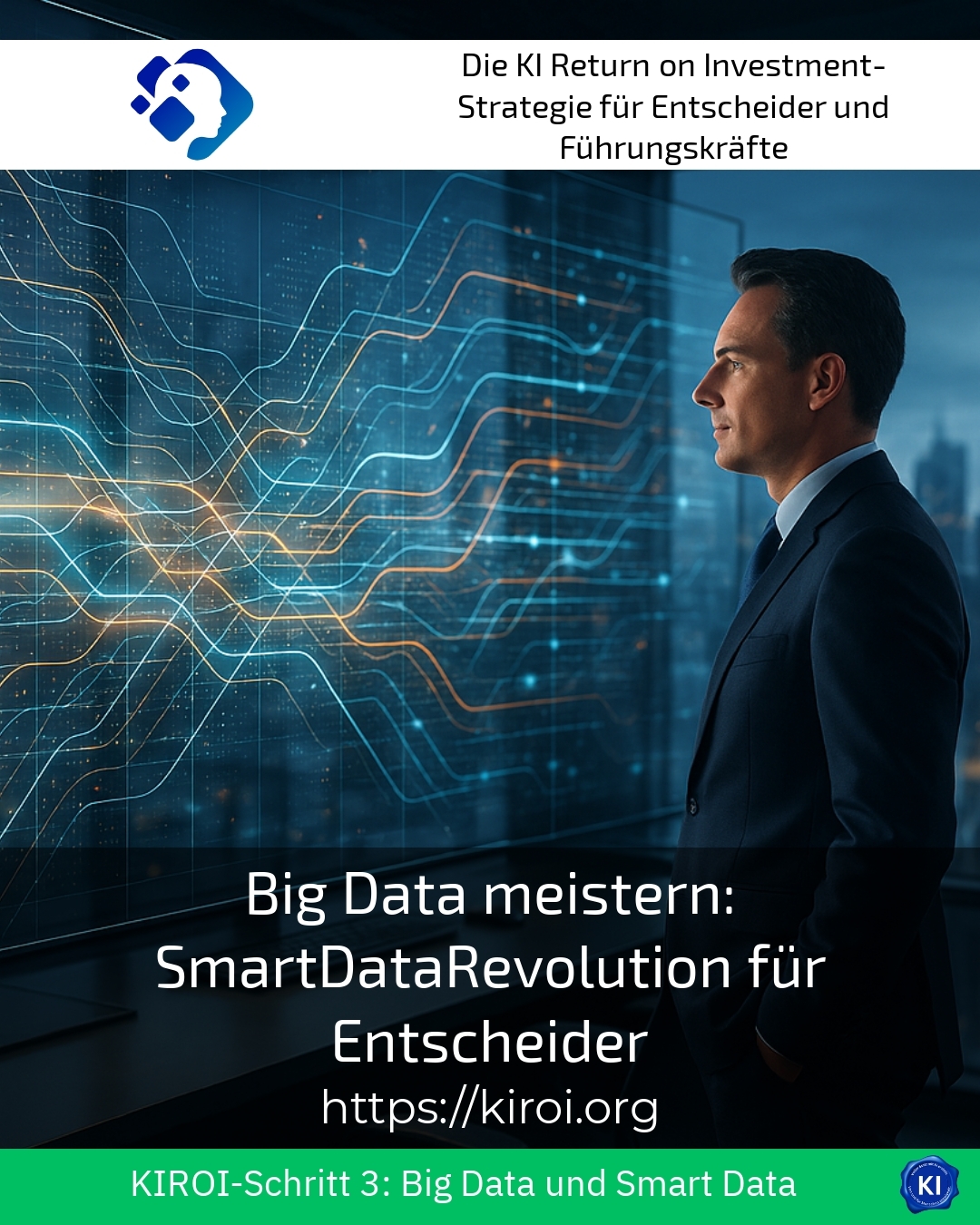 Mastering Big Data: The SmartDataRevolution for Decision-Makers 4.3 (1272)
