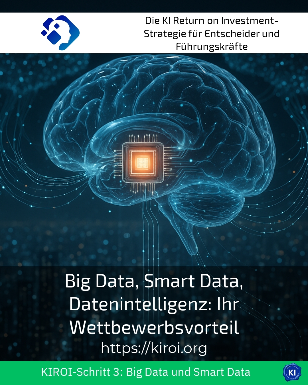 Big Data, Smart Data, Datenintelligenz: Ihr Wettbewerbsvorteil 4.5 (1289)