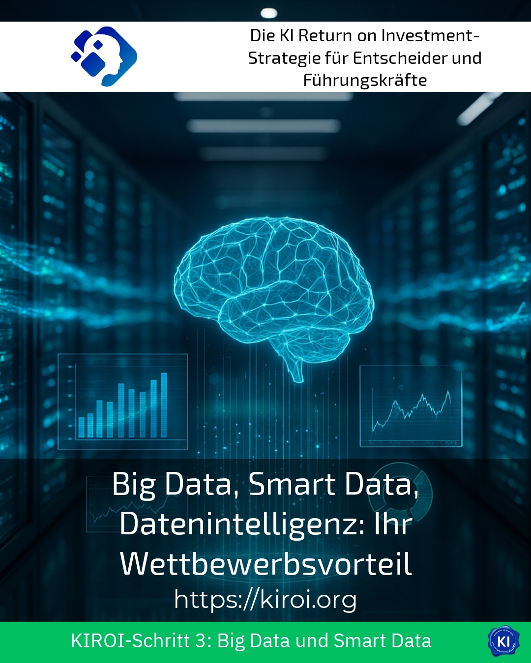 Big Data, Smart Data, Datenintelligenz: Ihr Wettbewerbsvorteil 4.7 (627)