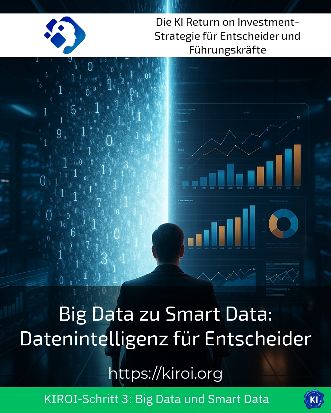 Big Data zu Smart Data: Datenintelligenz für Entscheider 4.9 (1081)