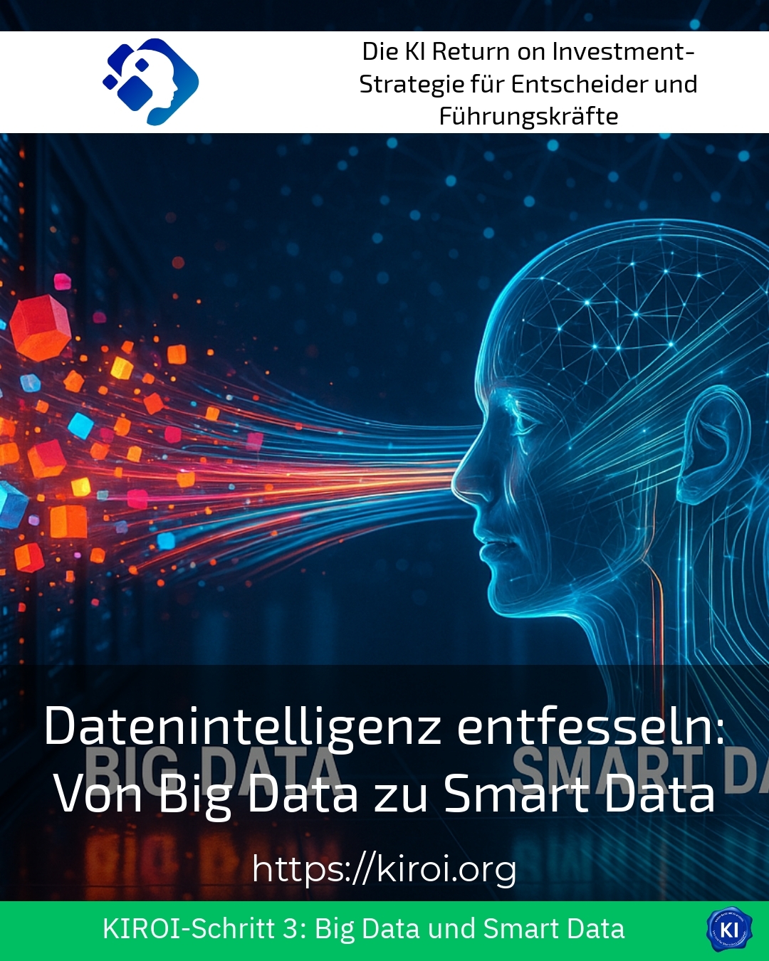 Unleashing Data Intelligence: From Big Data to Smart Data 4.4 (1702)