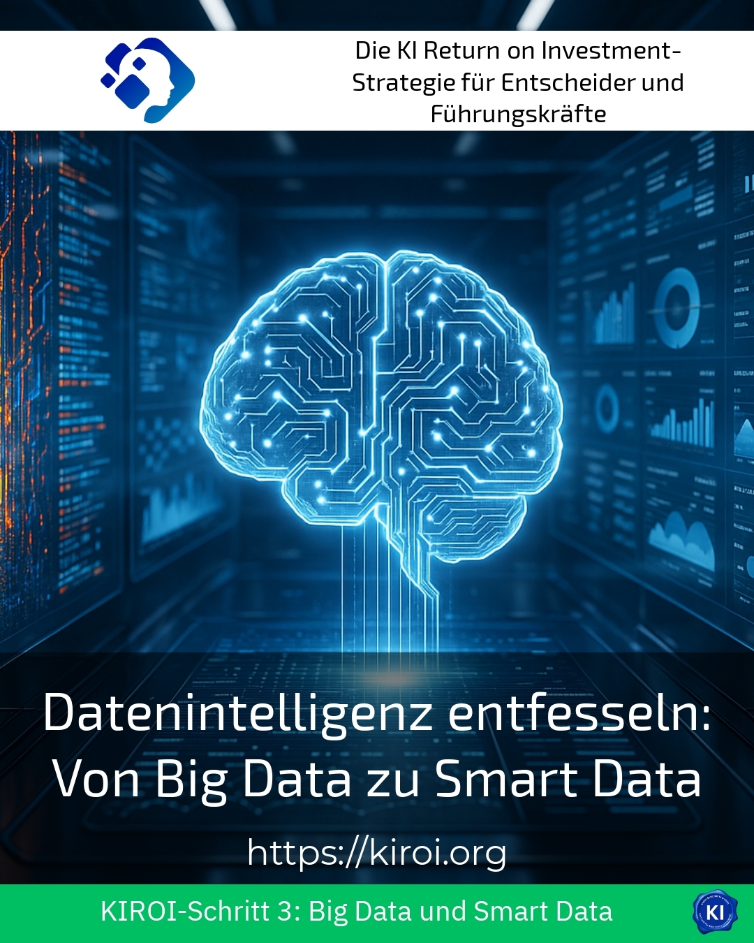 Unleashing Data Intelligence: From Big Data to Smart Data 4.8 (1308)