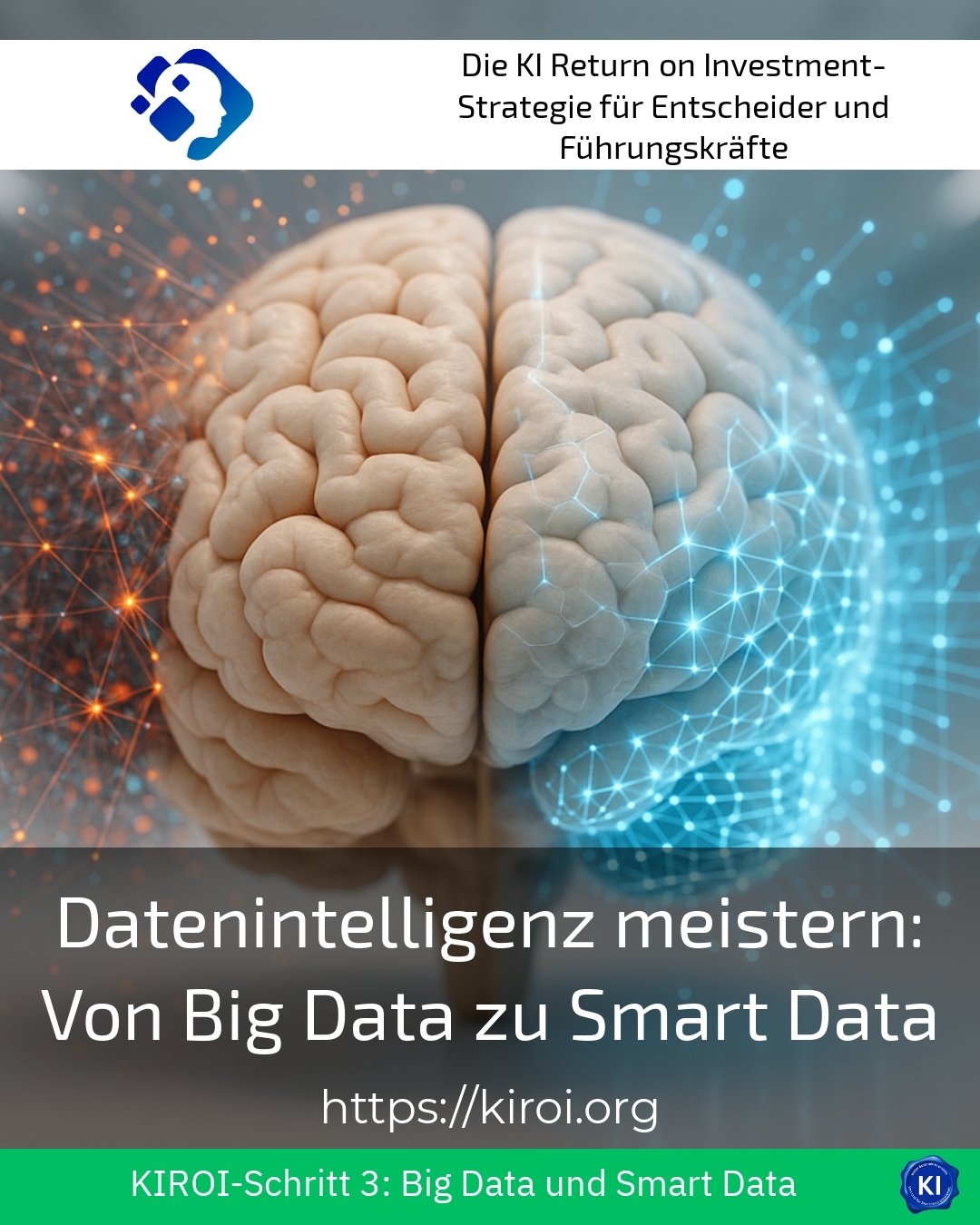 Mastering Data Intelligence: From Big Data to Smart Data 4.6 (1841)