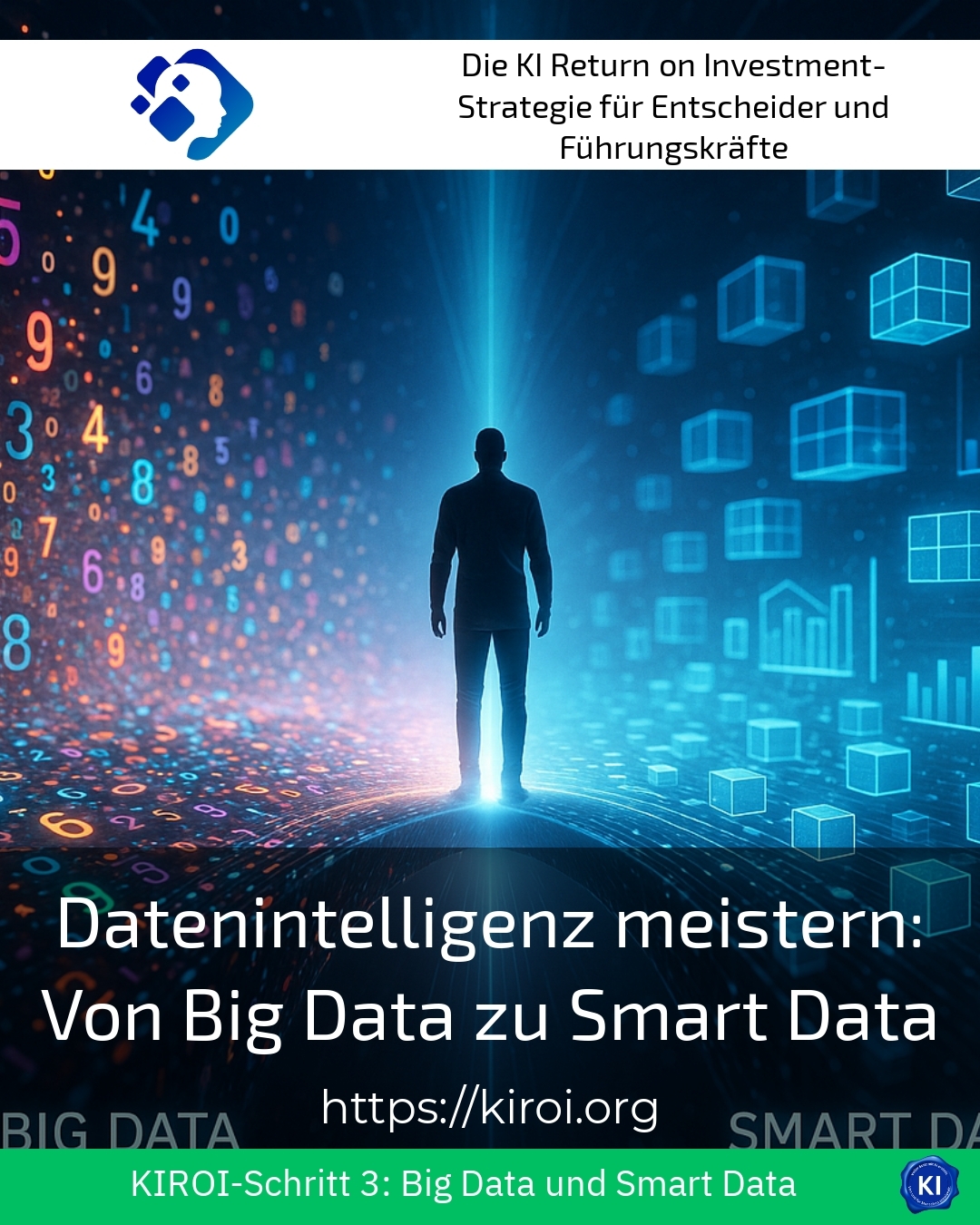 Mastering Data Intelligence: From Big Data to Smart Data 4.7 (1651)