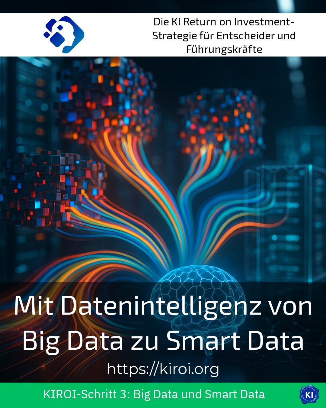 With Data Intelligence from Big Data to Smart Data 4.8 (1716)