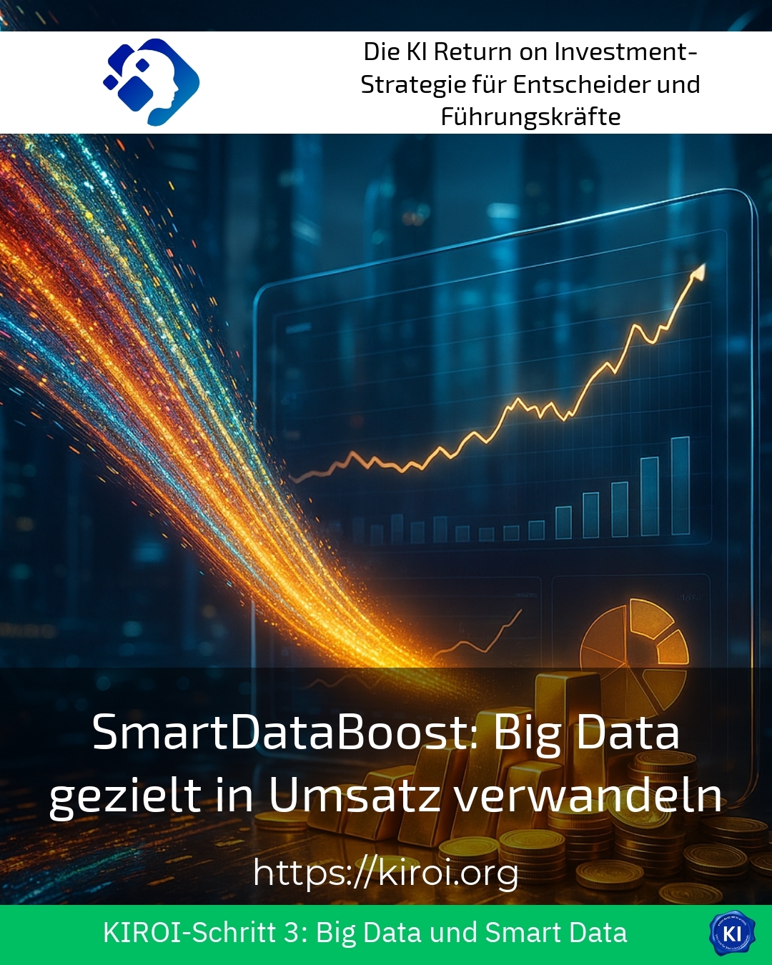 SmartDataBoost: Big Data gezielt in Umsatz verwandeln 4.8 (1595)