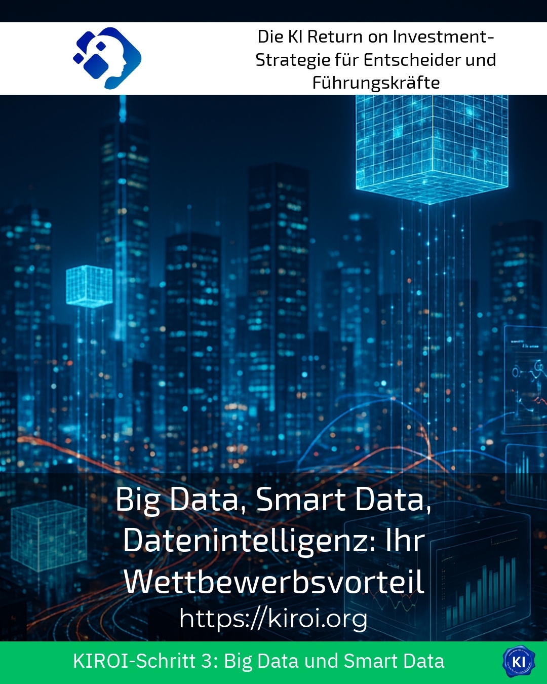 Big Data, Smart Data, Datenintelligenz: Ihr Wettbewerbsvorteil 4.3 (1208)