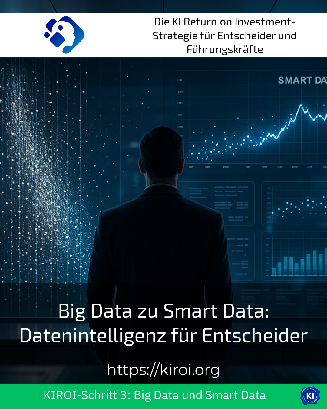 Big Data zu Smart Data: Datenintelligenz für Entscheider 4.3 (569)