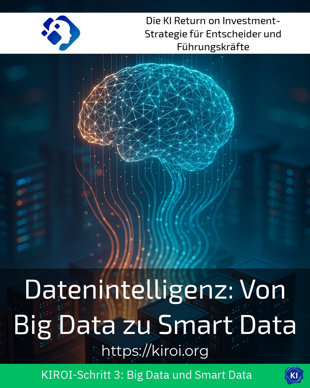 Datenintelligenz: Von Big Data zu Smart Data 4.7 (1399)