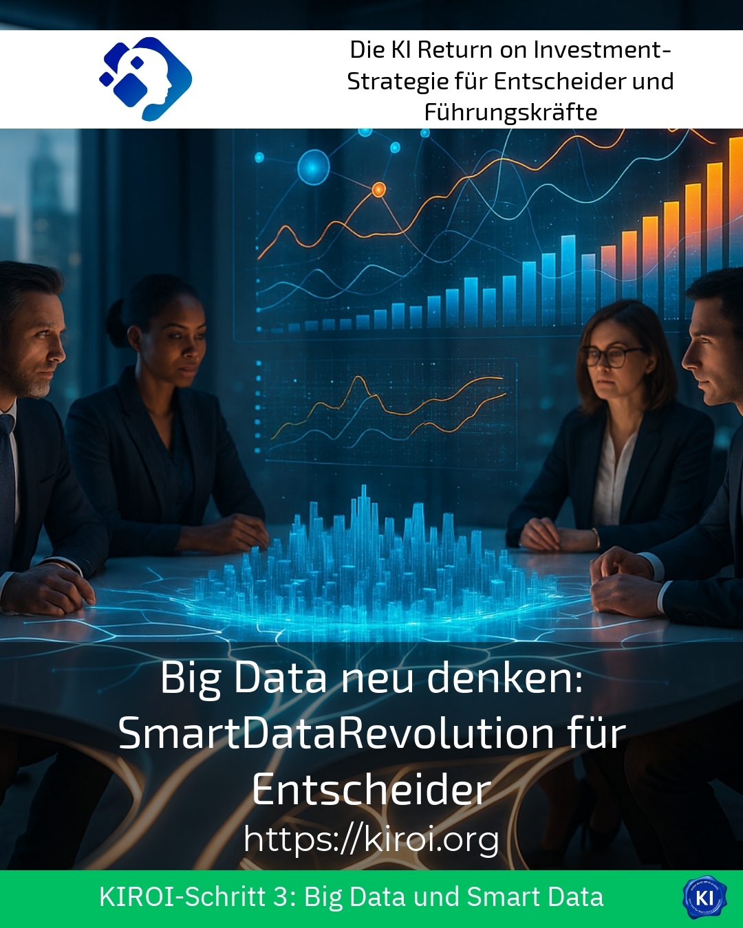 Rethinking Big Data: SmartDataRevolution for Decision Makers 4.1 (1480)
