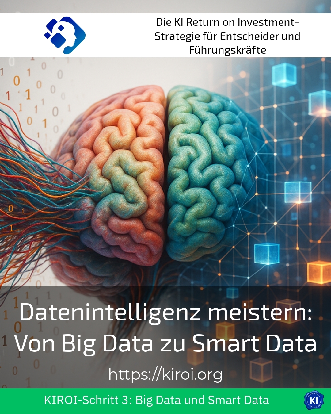 Datenintelligenz meistern: Von Big Data zu Smart Data 4.6 (502)