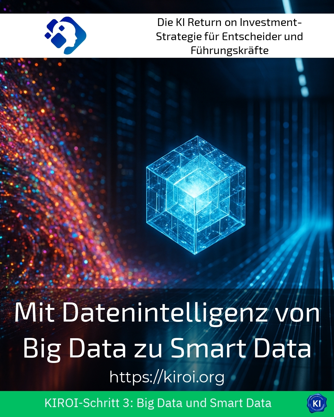 Mit Datenintelligenz von Big Data zu Smart Data 4.8 (588)