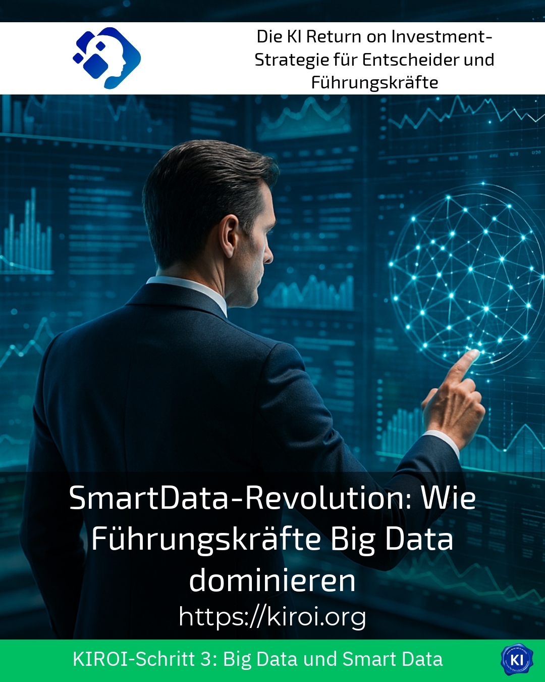 SmartData Revolution: How Leaders Dominate Big Data 4.4 (1639)